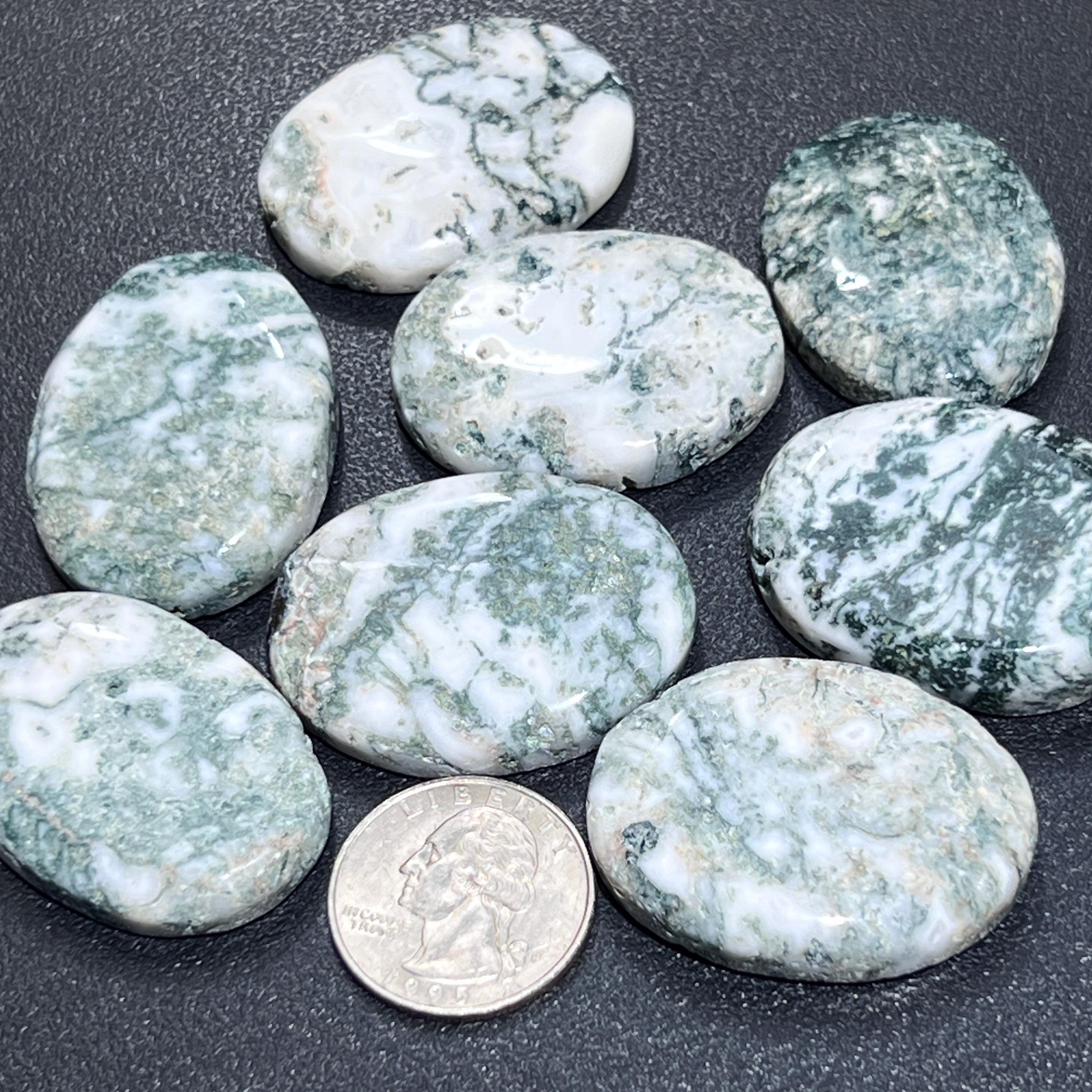 Tree Agate Cabochons Mixed Shapes And Sizes Bulk Wholesale Gemstone Jewelry Supply Amazing Crystals