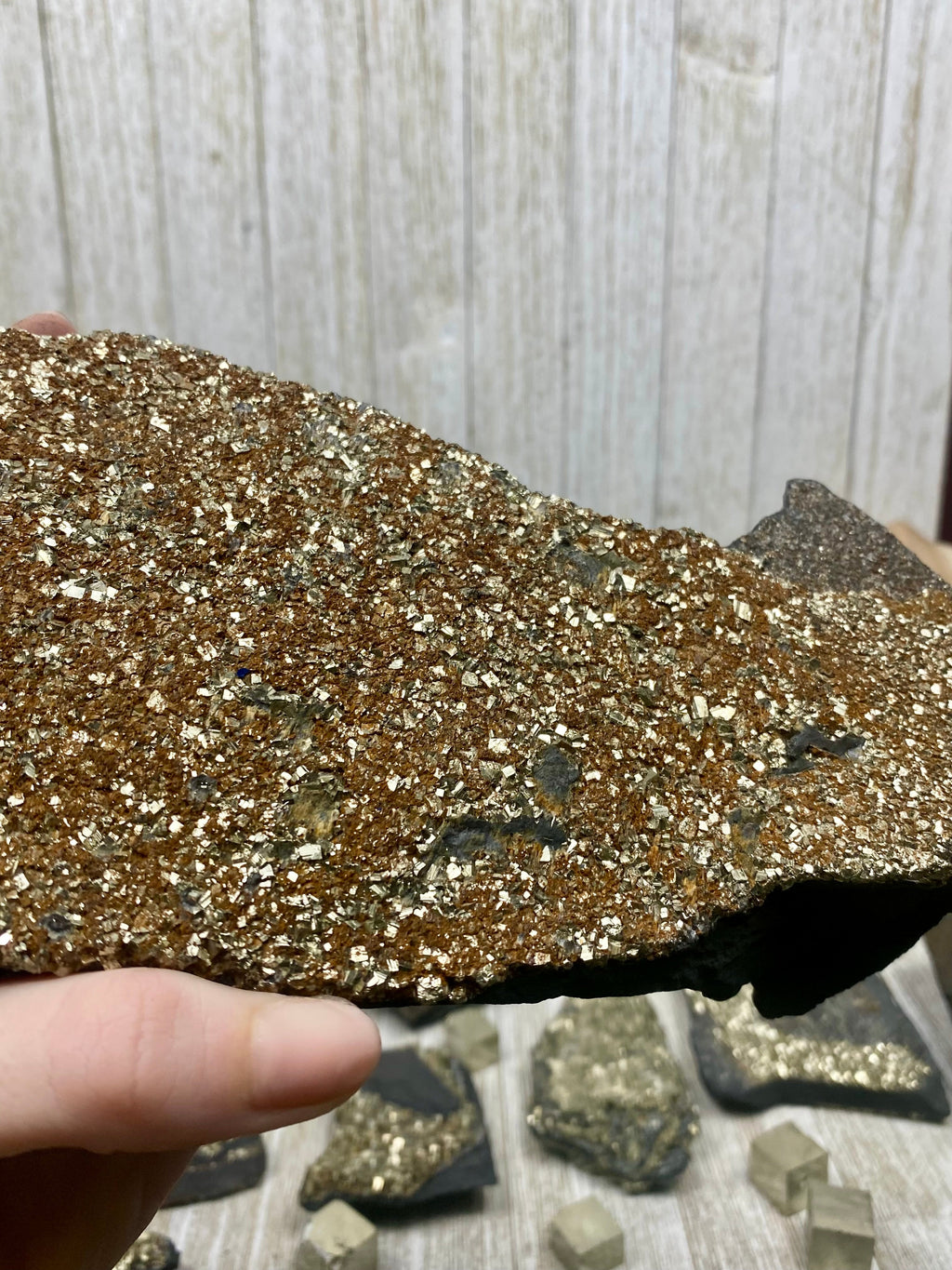 Pyrite on Shungite Raw Layered Plate | Brazil Curious Muse Crystals