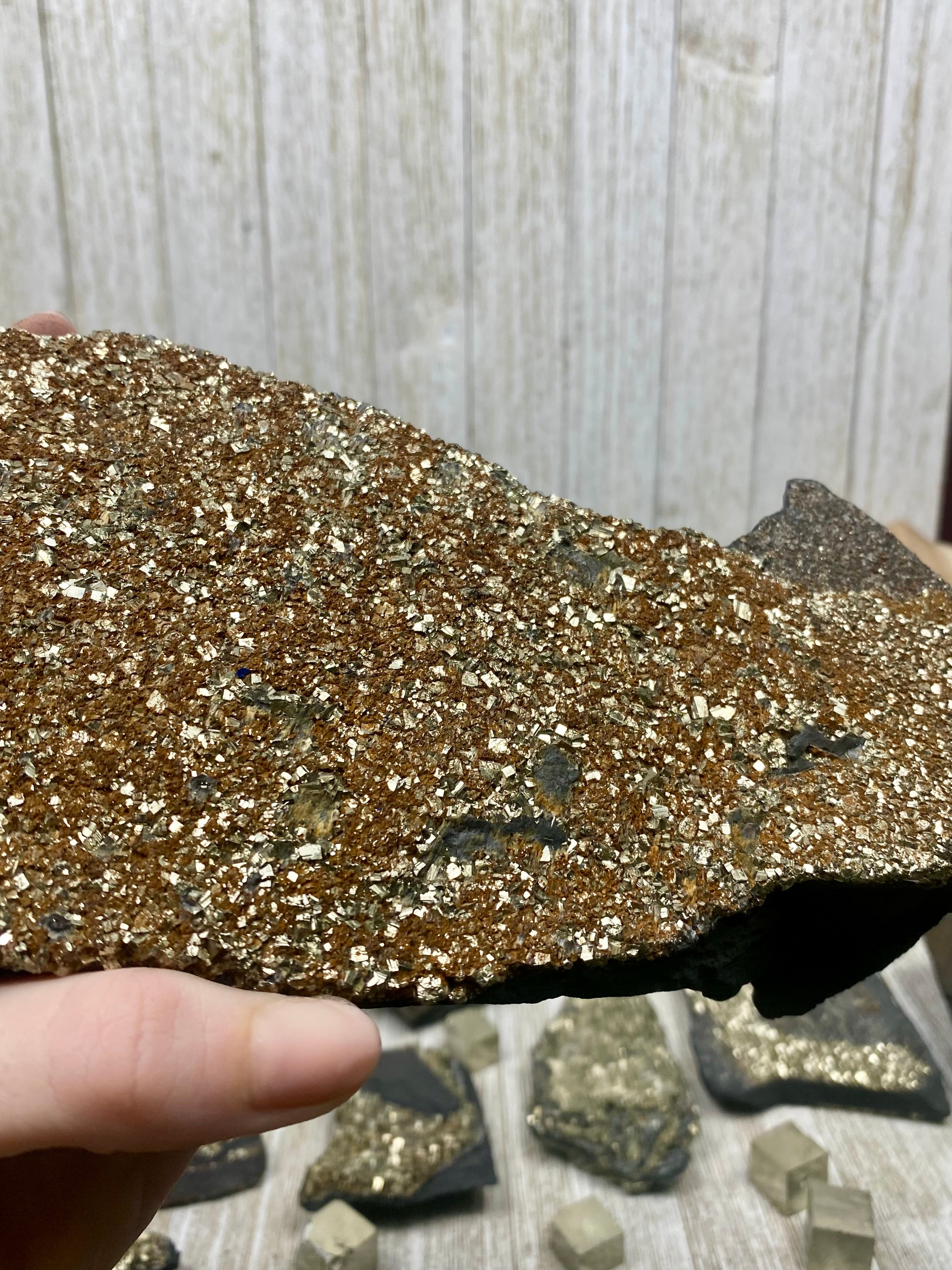 Pyrite on Shungite Raw Layered Plate | Brazil Curious Muse Crystals