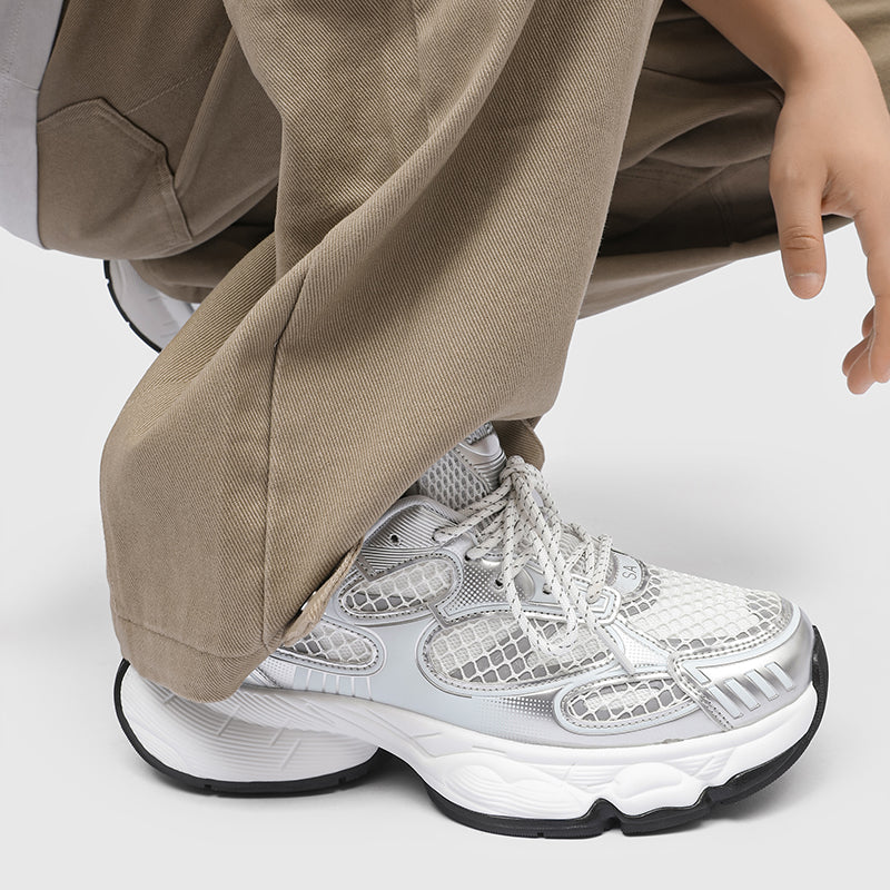 S8501 Silver Shoes Niepce