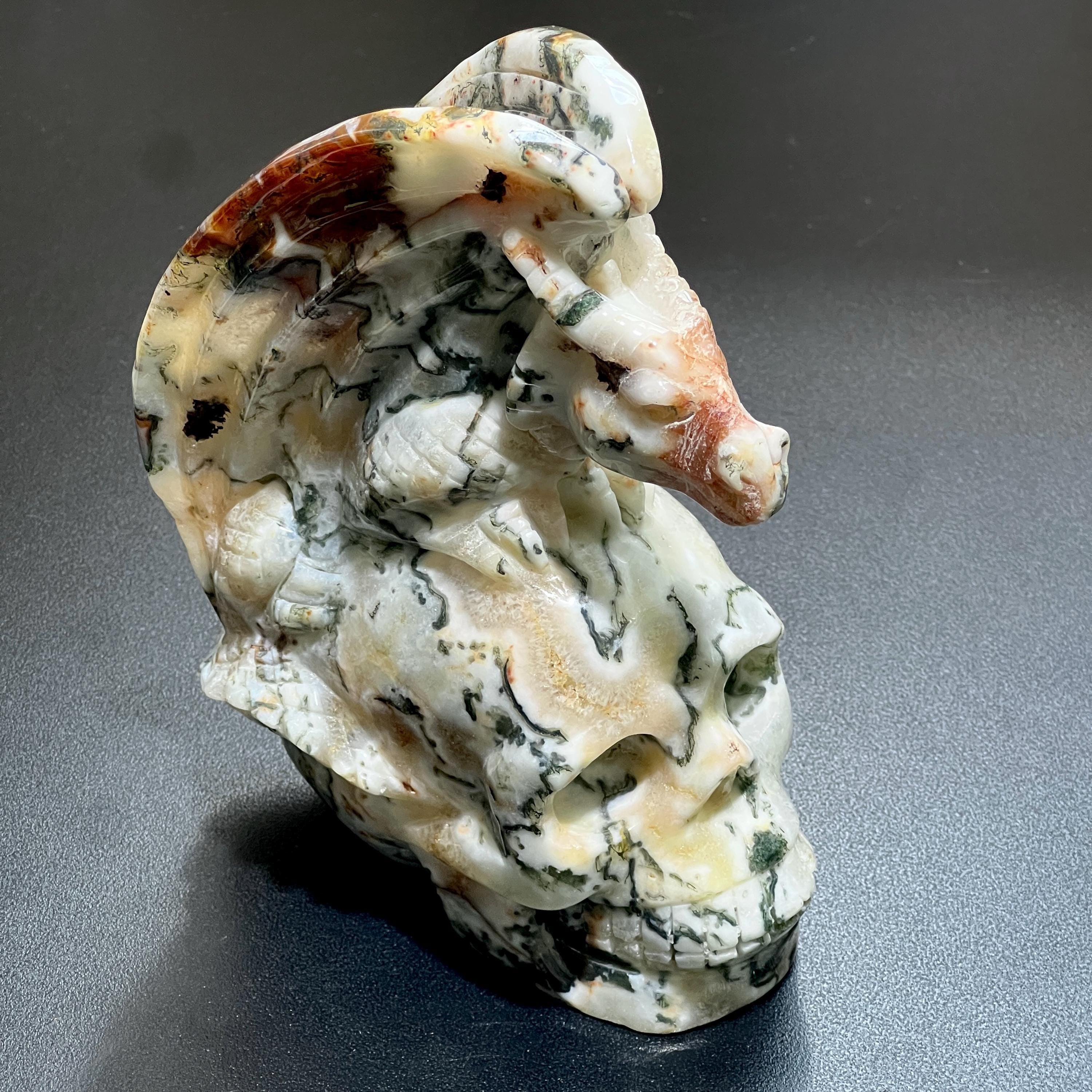 Large Skull and Dragon Carving Red Moss Agate Select Wholesale Amazing Crystals