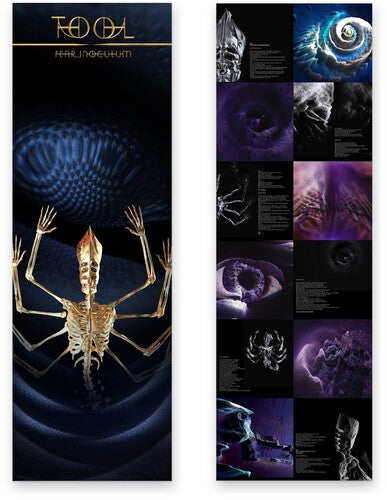 Tool - Fear Inoculum (Vinyl LP) Pale Blue Dot Records