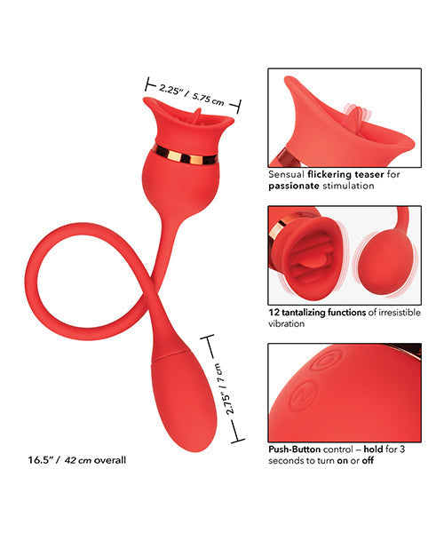 French Kiss Casanova - Red Adult Toy Box
