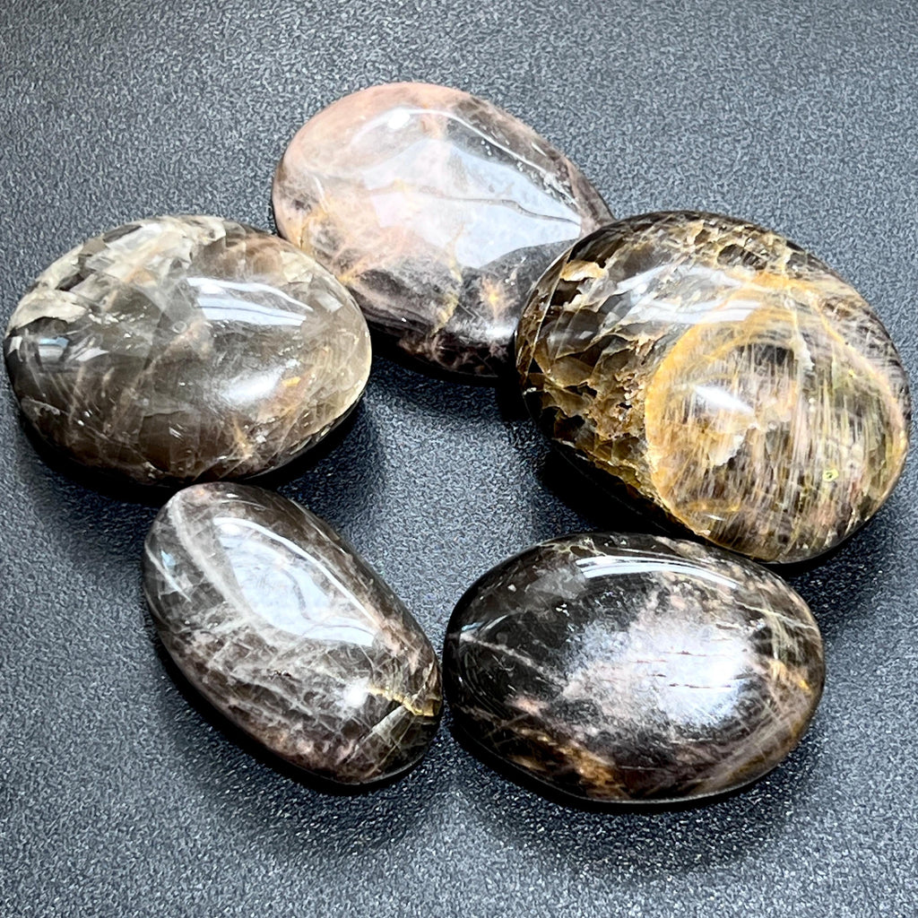 Black Moonstone Palm Stone Carving Gemstone Decor Supply Amazing Crystals