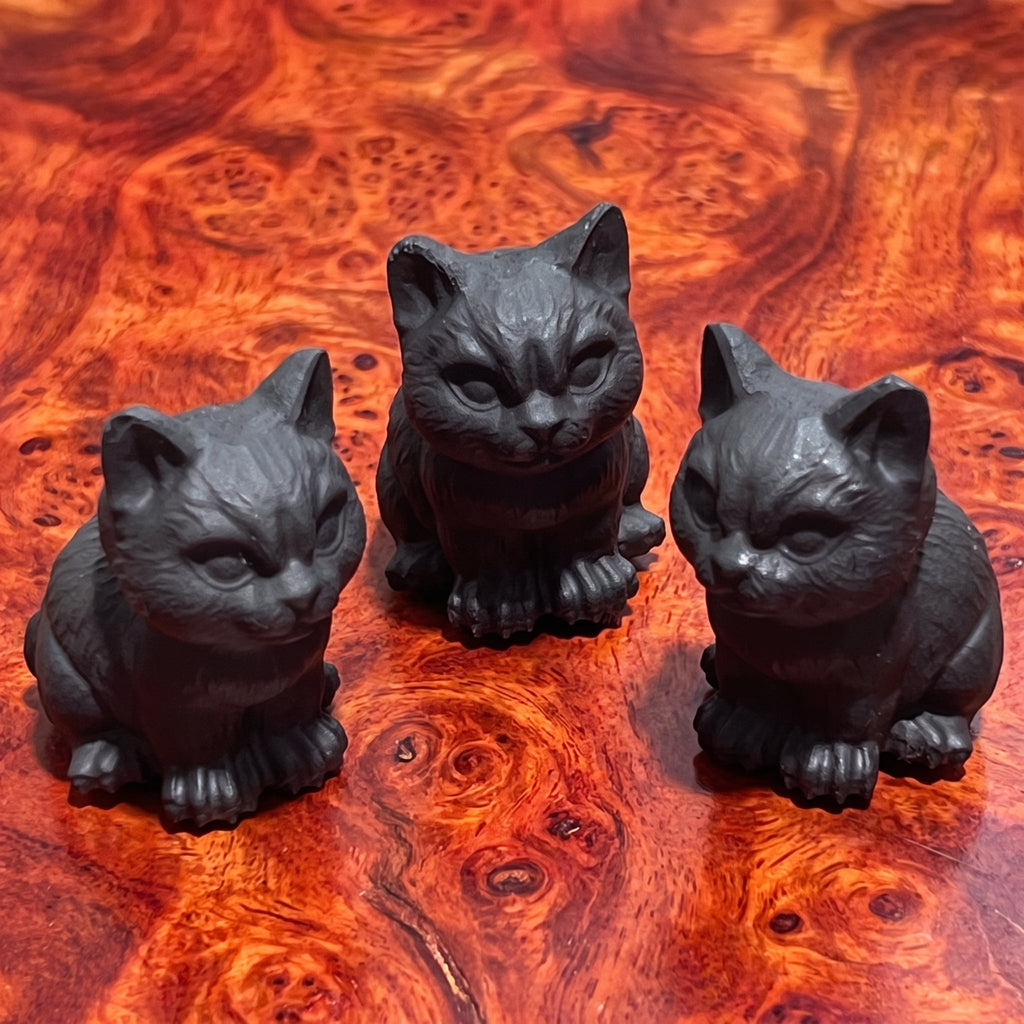 Black Obsidian Cat Kitten Carving Amazing Crystals