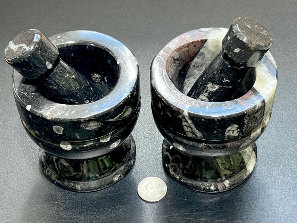 Orthoceras Mortar and Pestle Set (Mortar + Pestle) Polished Black Fossil Stone Carving Grinder Mixer Amazing Crystals