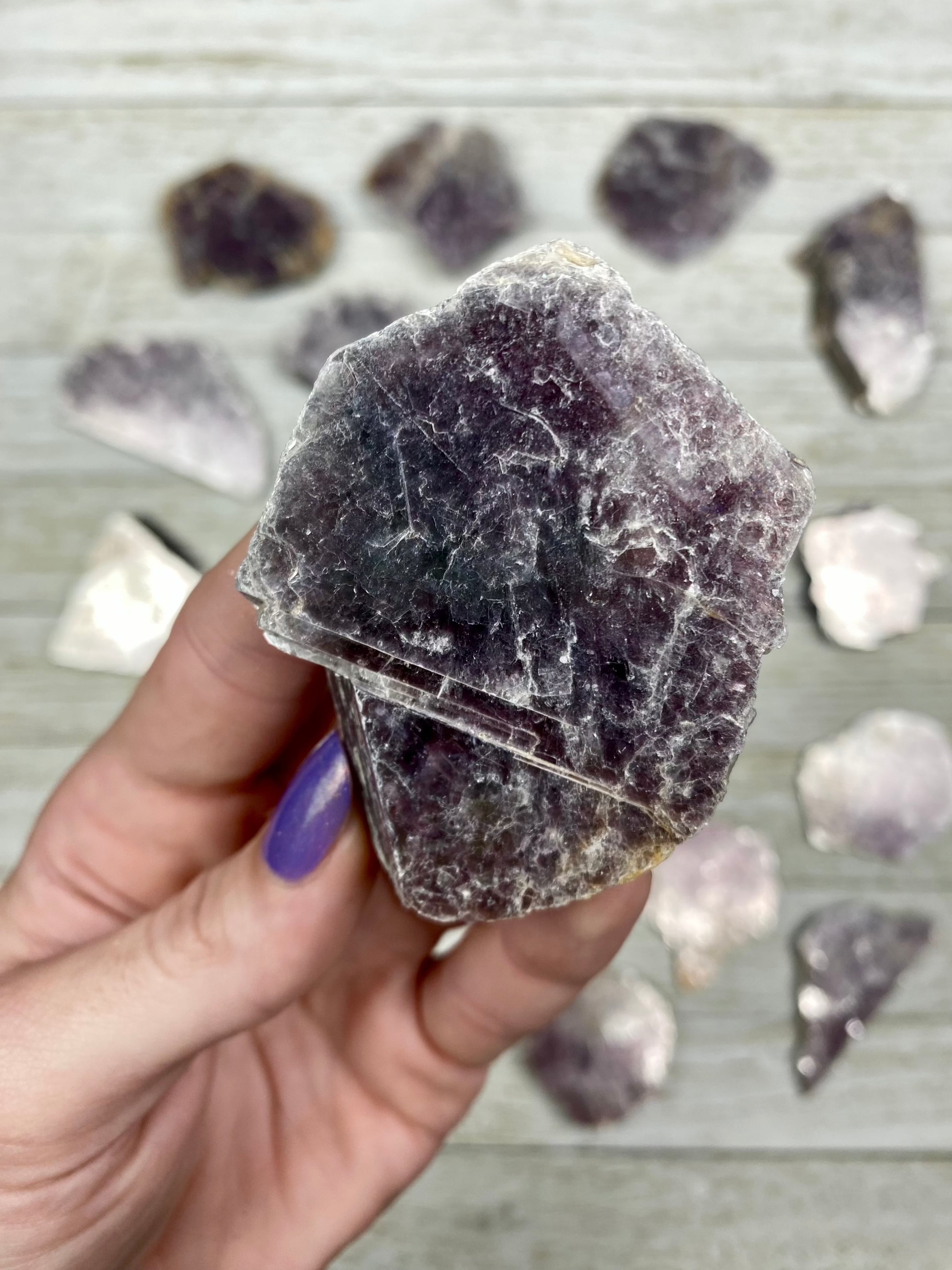 Lepidolite Mica Slices Curious Muse Crystals