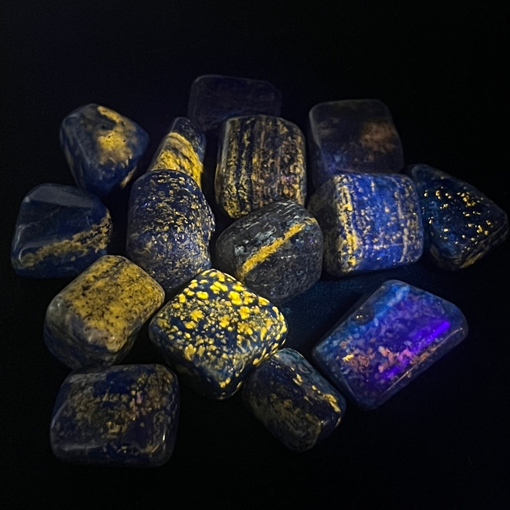 Lapis Lazuli Tumbled Stones (By The Piece or Pound)(UV Reactive) Amazing Crystals