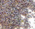 English Culinary Lavender Sachet Bags Food Grade Edible Cooking Findlavender.com
