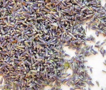 English Culinary Lavender Sachet Bags Food Grade Edible Cooking Findlavender.com