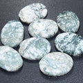Tree Agate Cabochons Mixed Shapes And Sizes Bulk Wholesale Gemstone Jewelry Supply Amazing Crystals