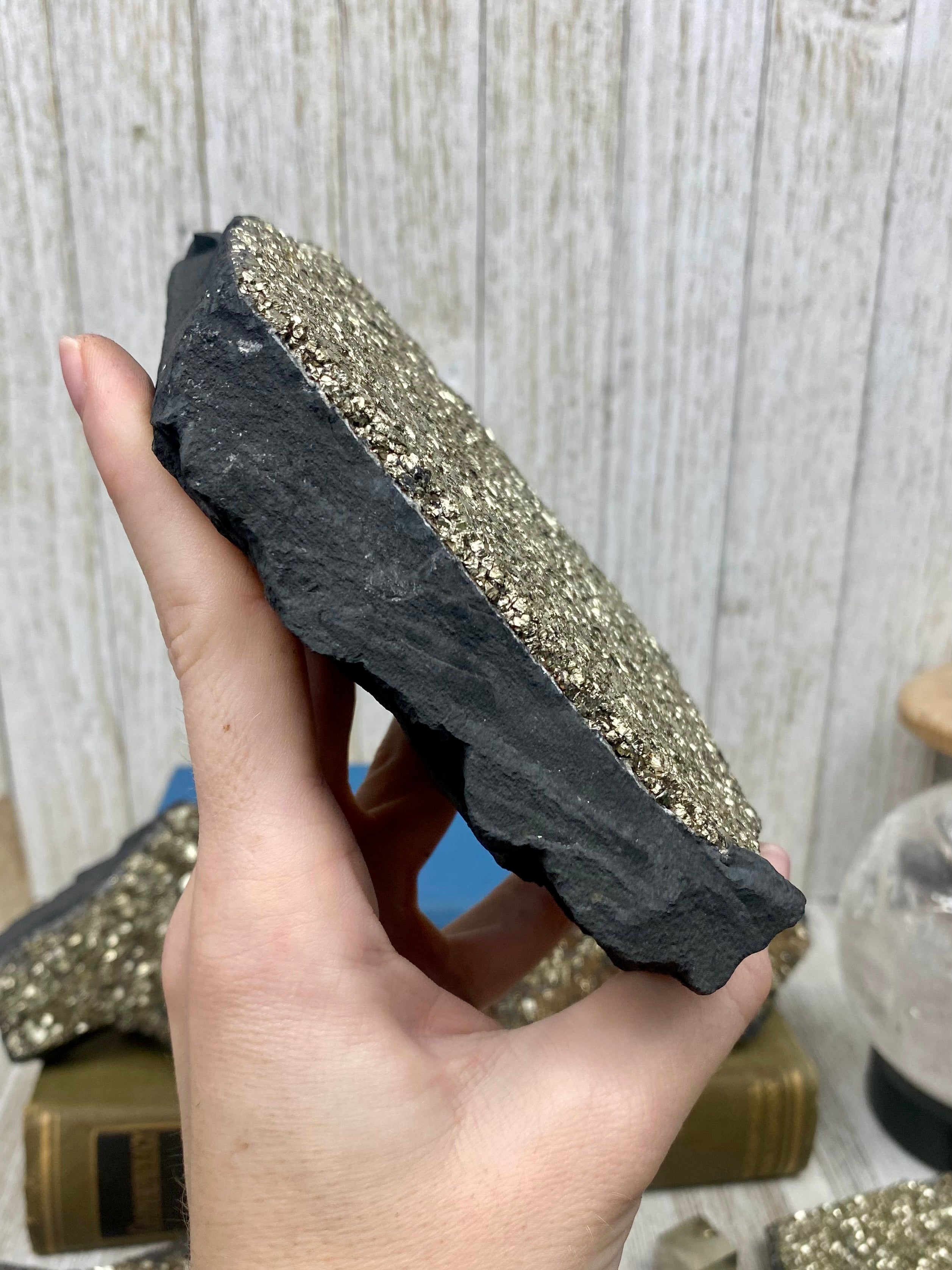 Pyrite on Shungite Raw Layered Plate | Brazil Curious Muse Crystals