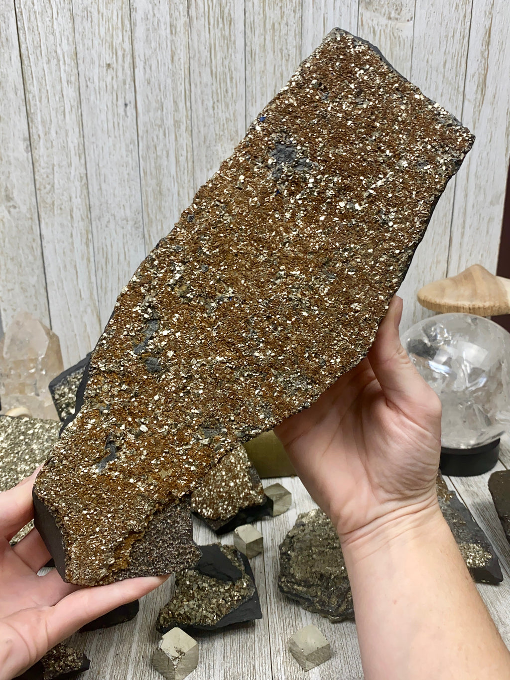 Pyrite on Shungite Raw Layered Plate | Brazil Curious Muse Crystals