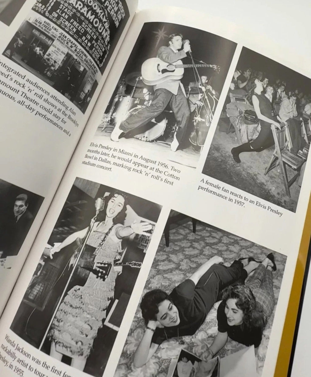 Rock Concert by Marc Myers Cedar Leaf Books