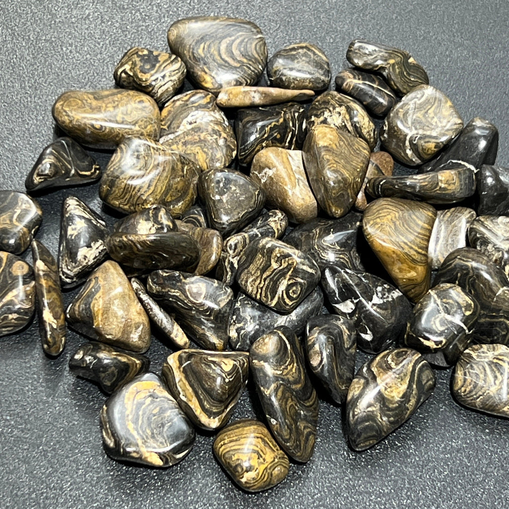 Tumbled Stromatolite Fossil Stones (By The Piece or Pound) Wholesale Amazing Crystals