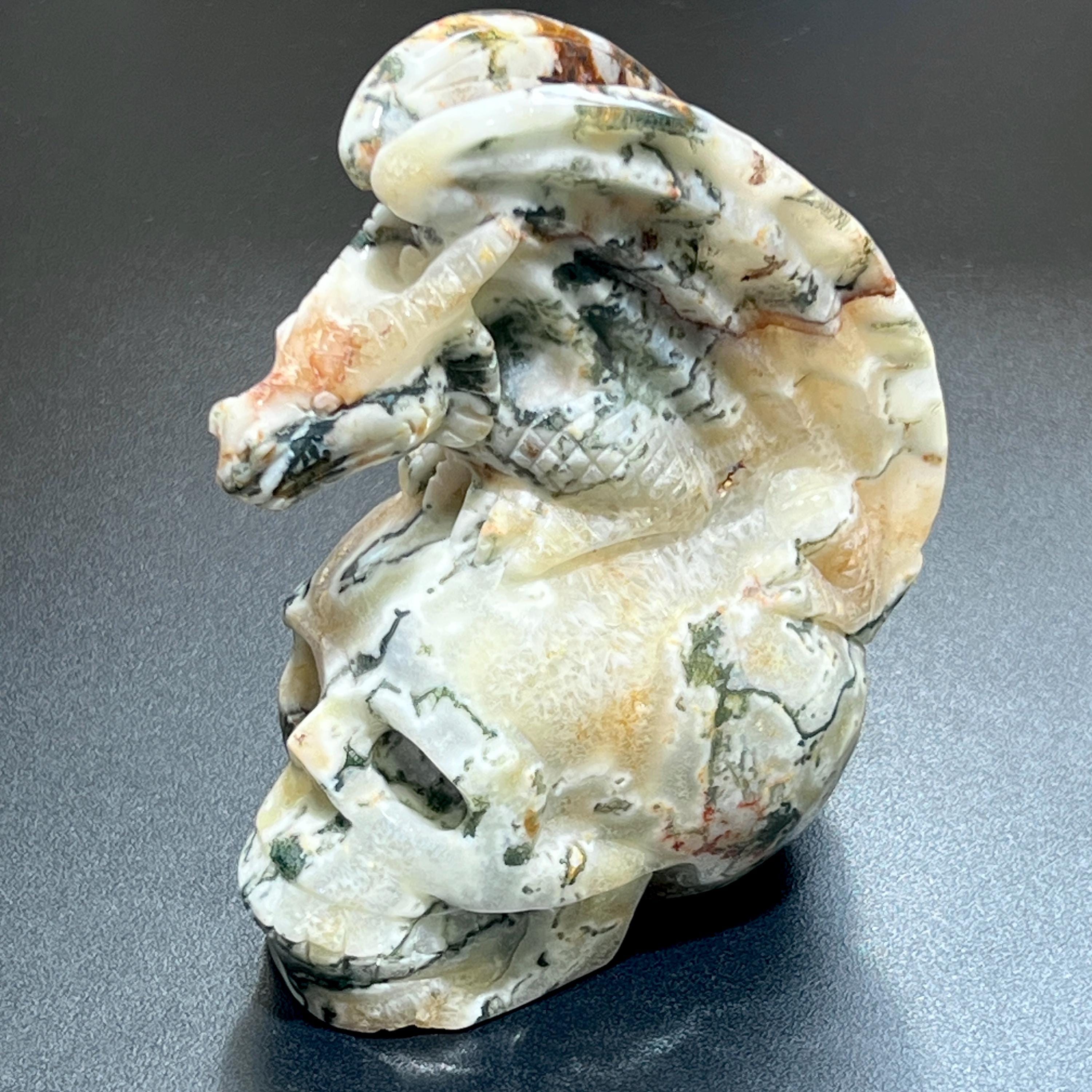 Large Skull and Dragon Carving Red Moss Agate Select Wholesale Amazing Crystals