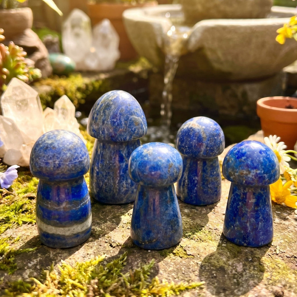 Blue Lapis Lazuli Mushroom Carving Amazing Crystals