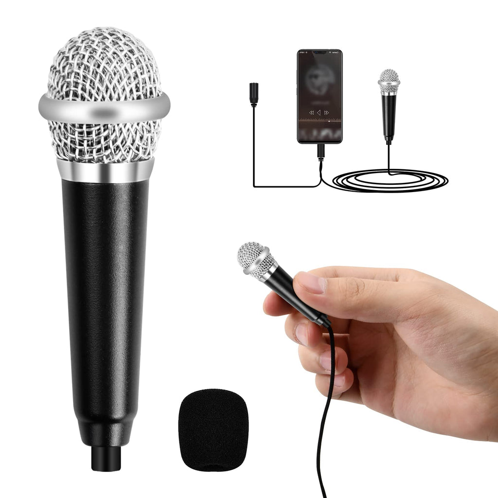 Mini Microphone