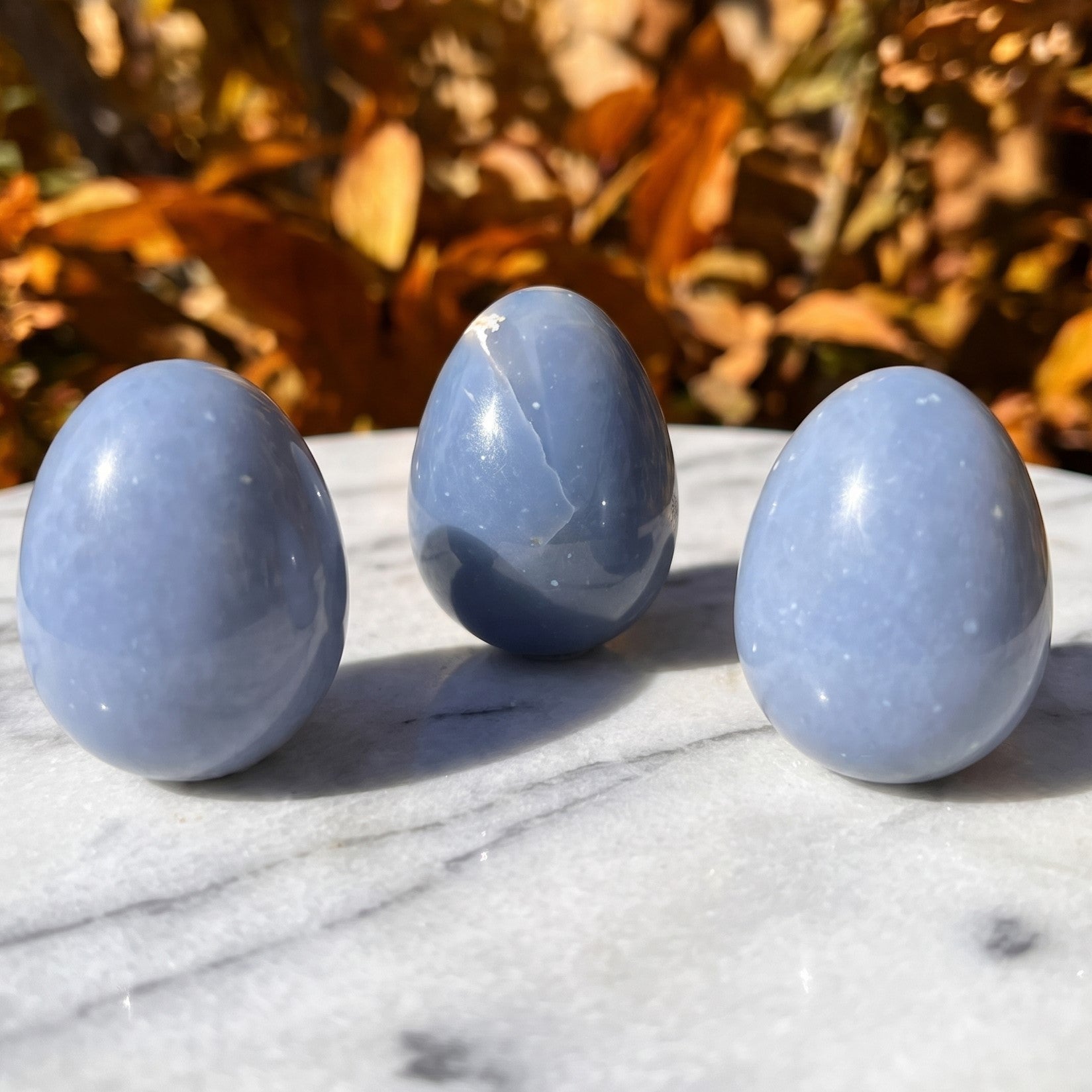 Blue Angelite Crystal Egg Carving Amazing Crystals