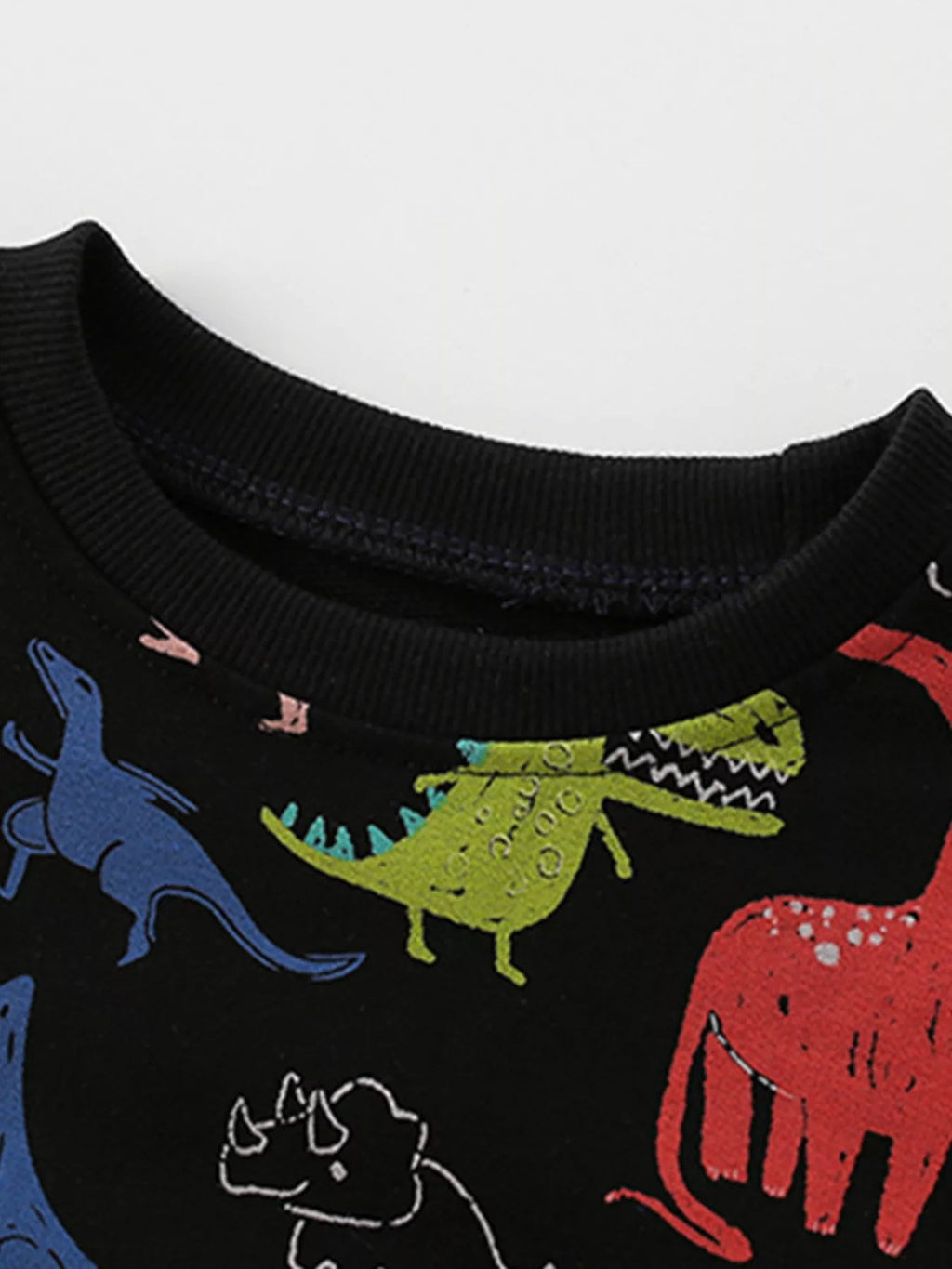 Toddler Boys Dinosaur Print Crew Neck Sweatshirt NicholesGifts