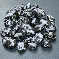 Indigo Gabbro Tumbled (Mystical Merlinite)(By The Piece Or Pound) Wholesale Polished Gemstones Amazing Crystals