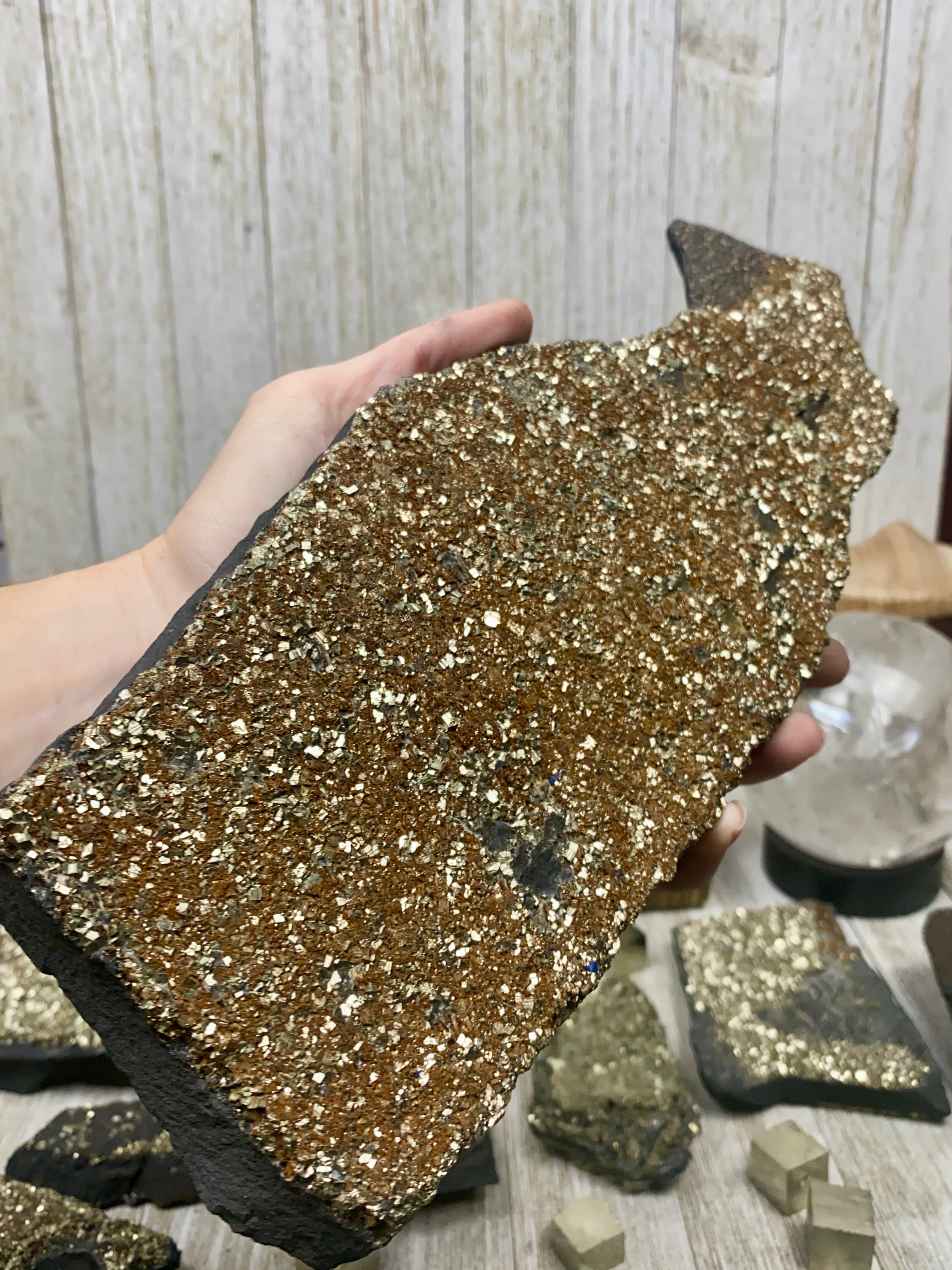 Pyrite on Shungite Raw Layered Plate | Brazil Curious Muse Crystals