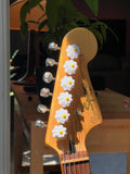 Daisy Tuner Caps Twist Tone