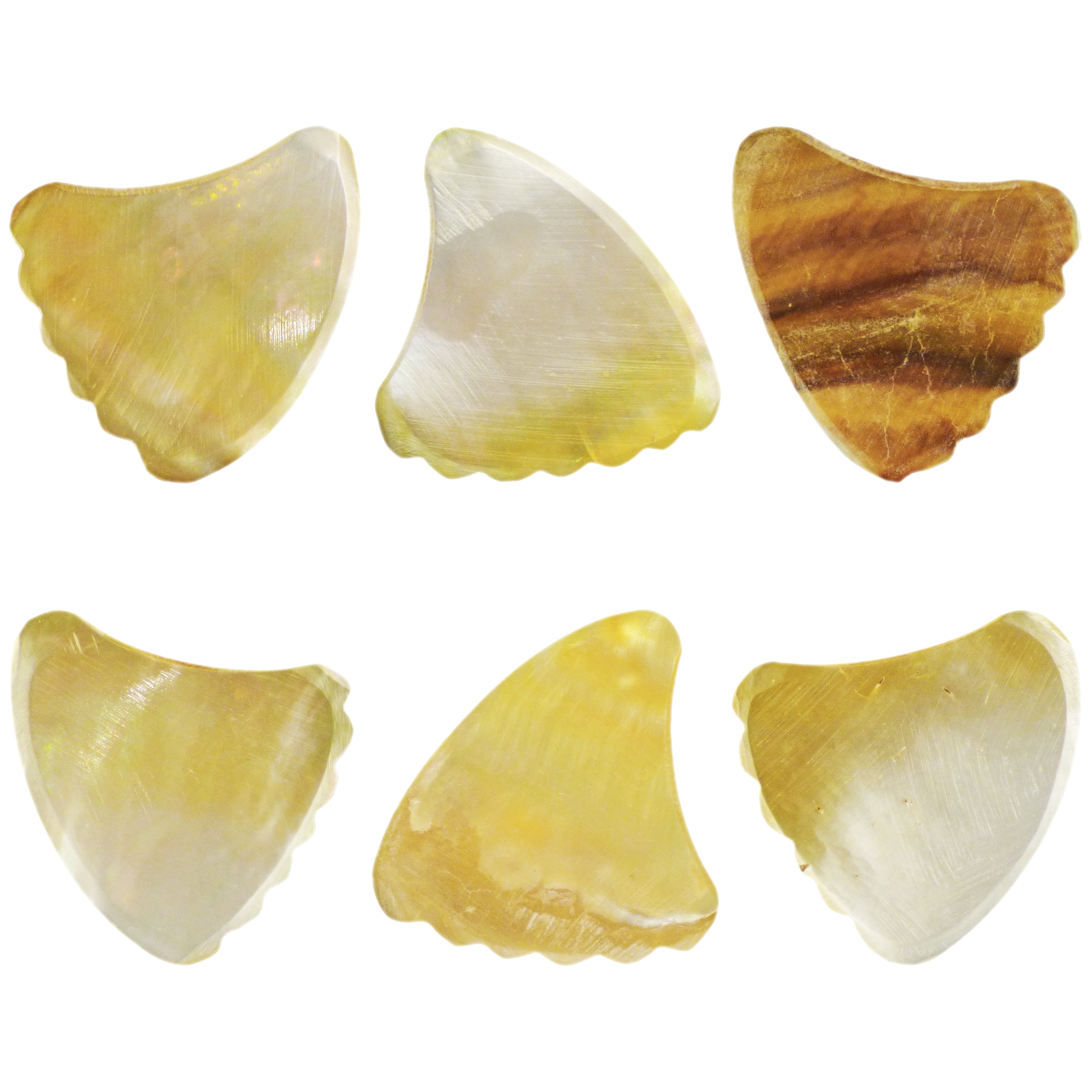 Gold Abalone Shell Guitar Or Bass Pick - 2.0 mm - 390 Wedge Shark Fin Shape - Handmade Specialty Exotic Luxury Plectrum Exotic Plectrums
