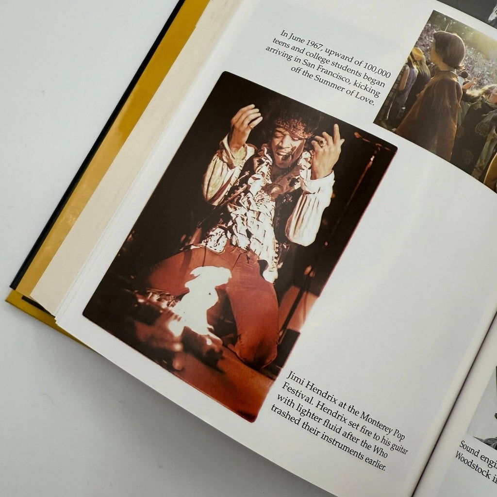 Rock Concert by Marc Myers Cedar Leaf Books