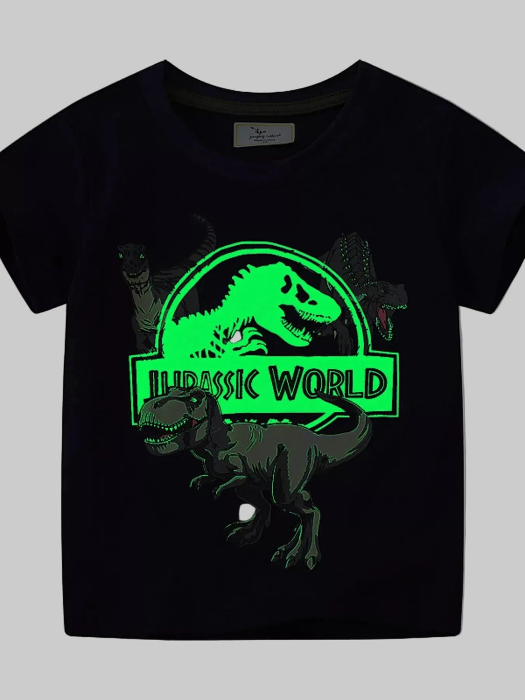 Toddler Boys Jurassic World Graphic Short Sleeve T-Shirt NicholesGifts