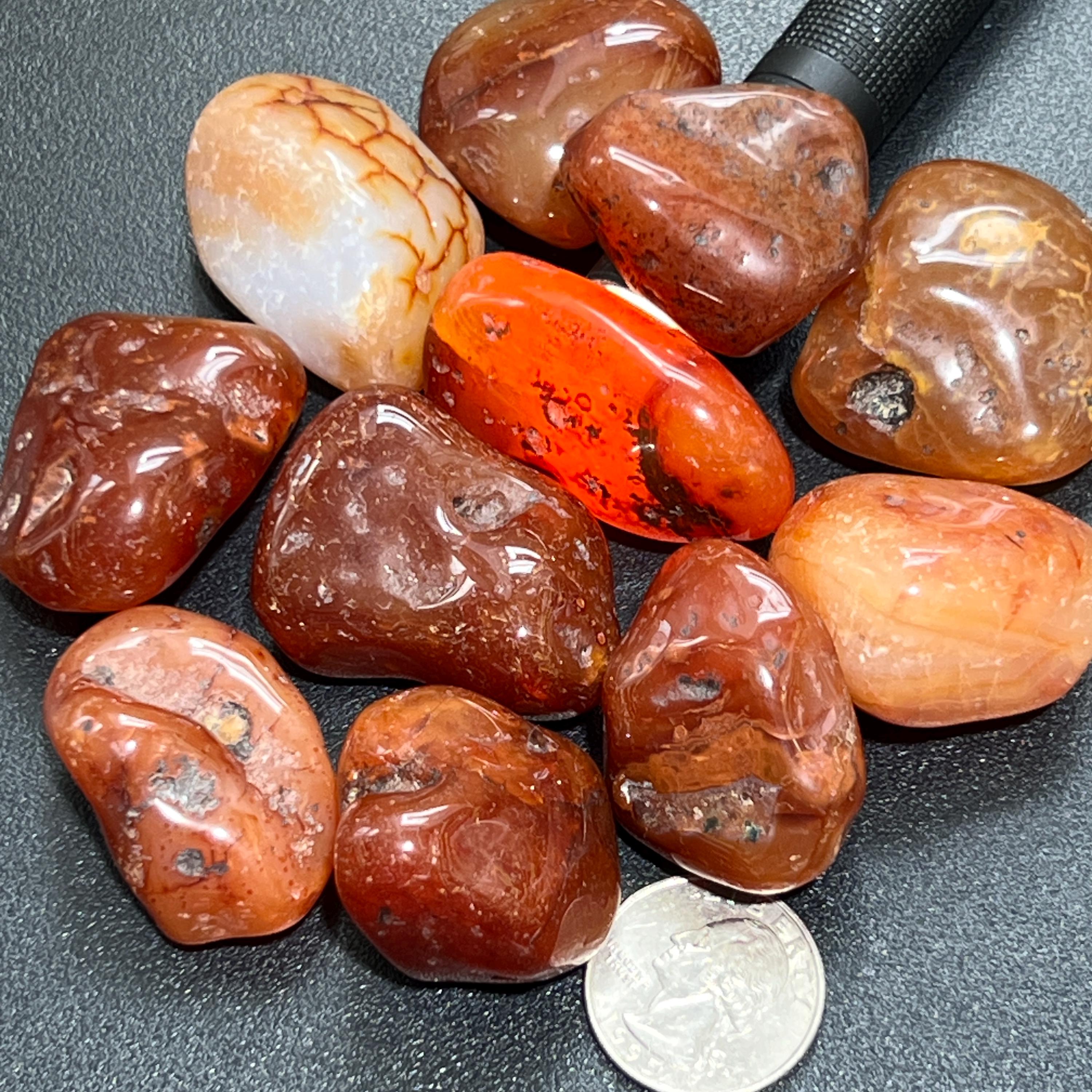 Large Carnelian Red Agate Tumbled Stones (By The Piece or Pound) Wholesale Amazing Crystals