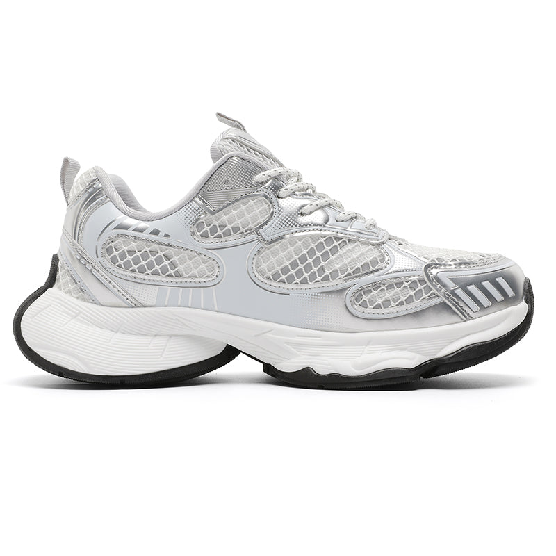 S8501 Silver Shoes Niepce