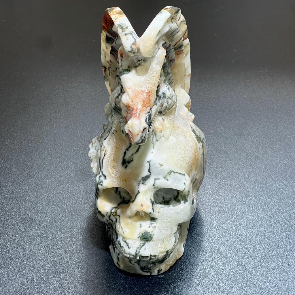 Large Skull and Dragon Carving Red Moss Agate Select Wholesale Amazing Crystals