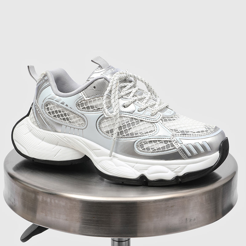 S8501 Silver Shoes Niepce