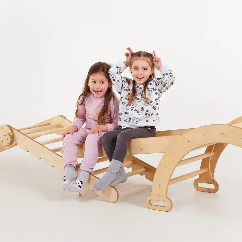6in1 Montessori Climbing Set: Triangle Ladder + Arch/Rocker + Slide/Ramp + Net + Cushion + Art Addition Goodevas B2B