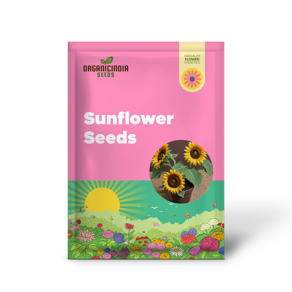 Brown Sunflower Seeds for Planting, Blooming Beauty organicindiaseeds