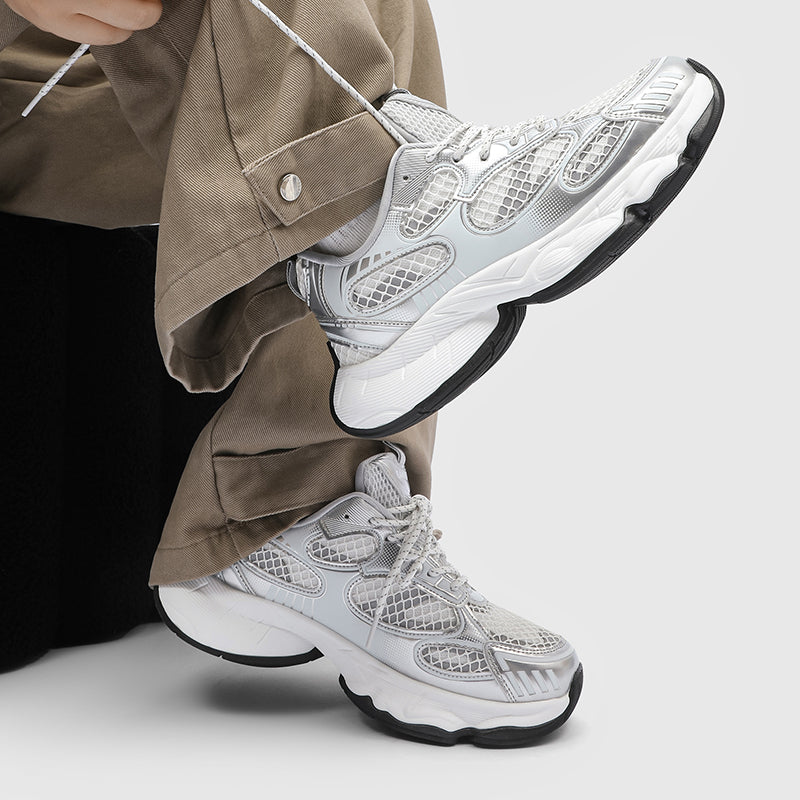 S8501 Silver Shoes Niepce