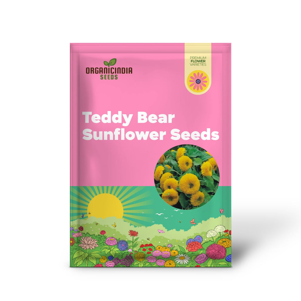 Teddy Bear Sunflower Seeds - Fluffy, Golden Blooms for Delightful Garden Displays organicindiaseeds