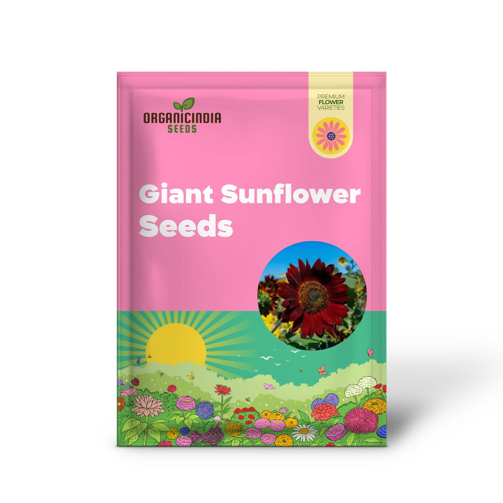 Grow Majestic Red Giant Sunflowers: The Ultimate Guide to Stunning Garden Blooms organicindiaseeds