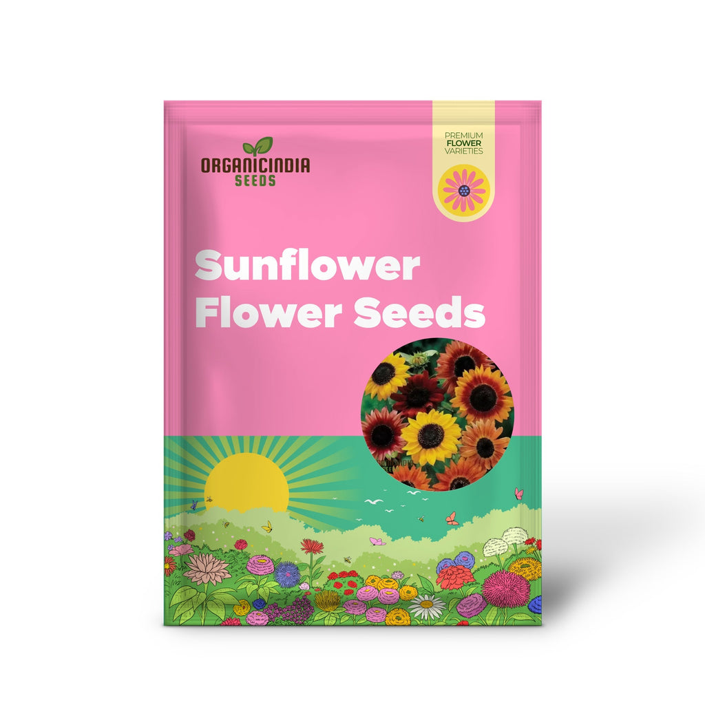Mixed Sunflower Seeds, High Germination, Vibrant Colors, Ideal for Garden Landscaping organicindiaseeds