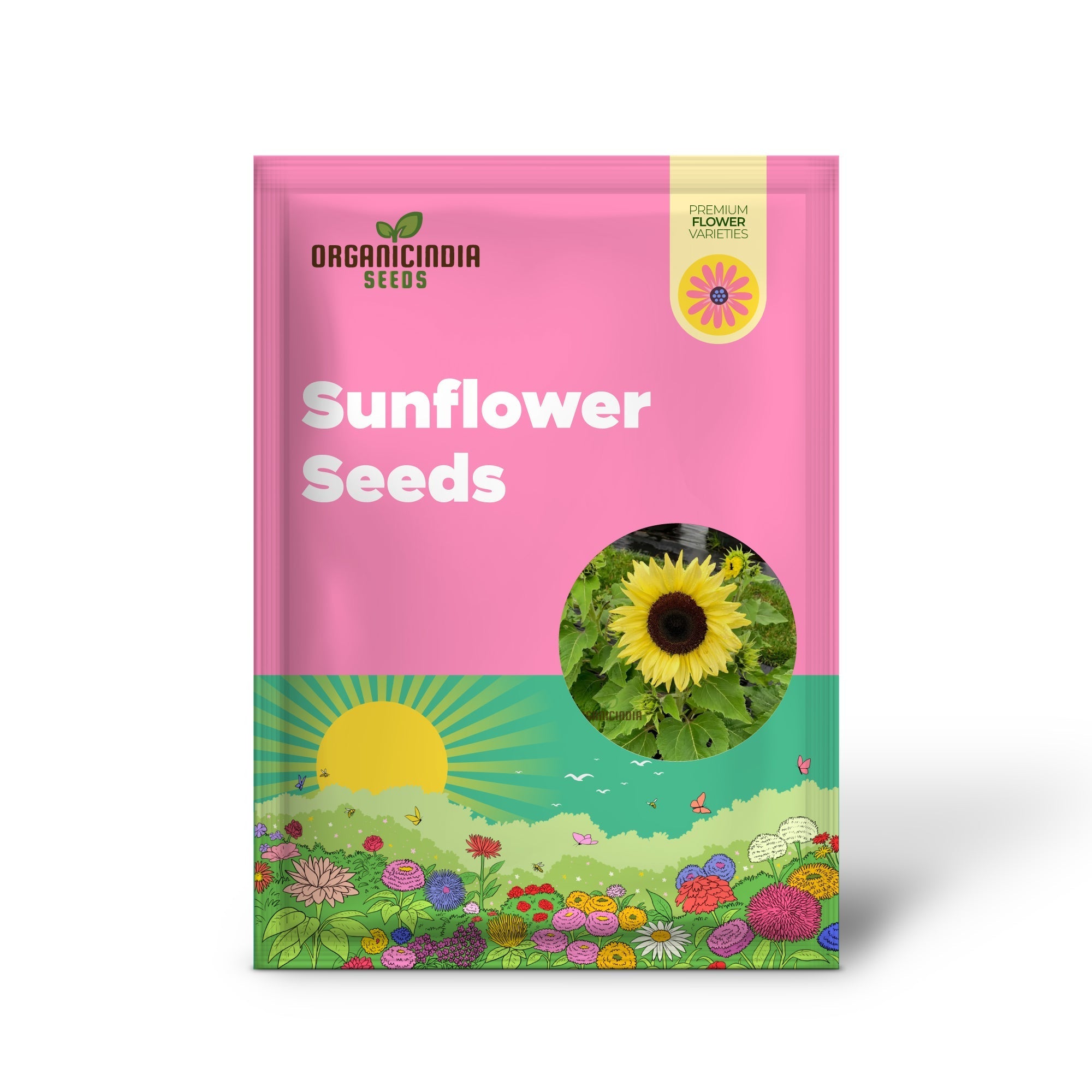 Sunflower Seeds, Lemon Striker Flower Seeds Perfect for Gardening Enthusiasts and Vibrant Garden organicindiaseeds