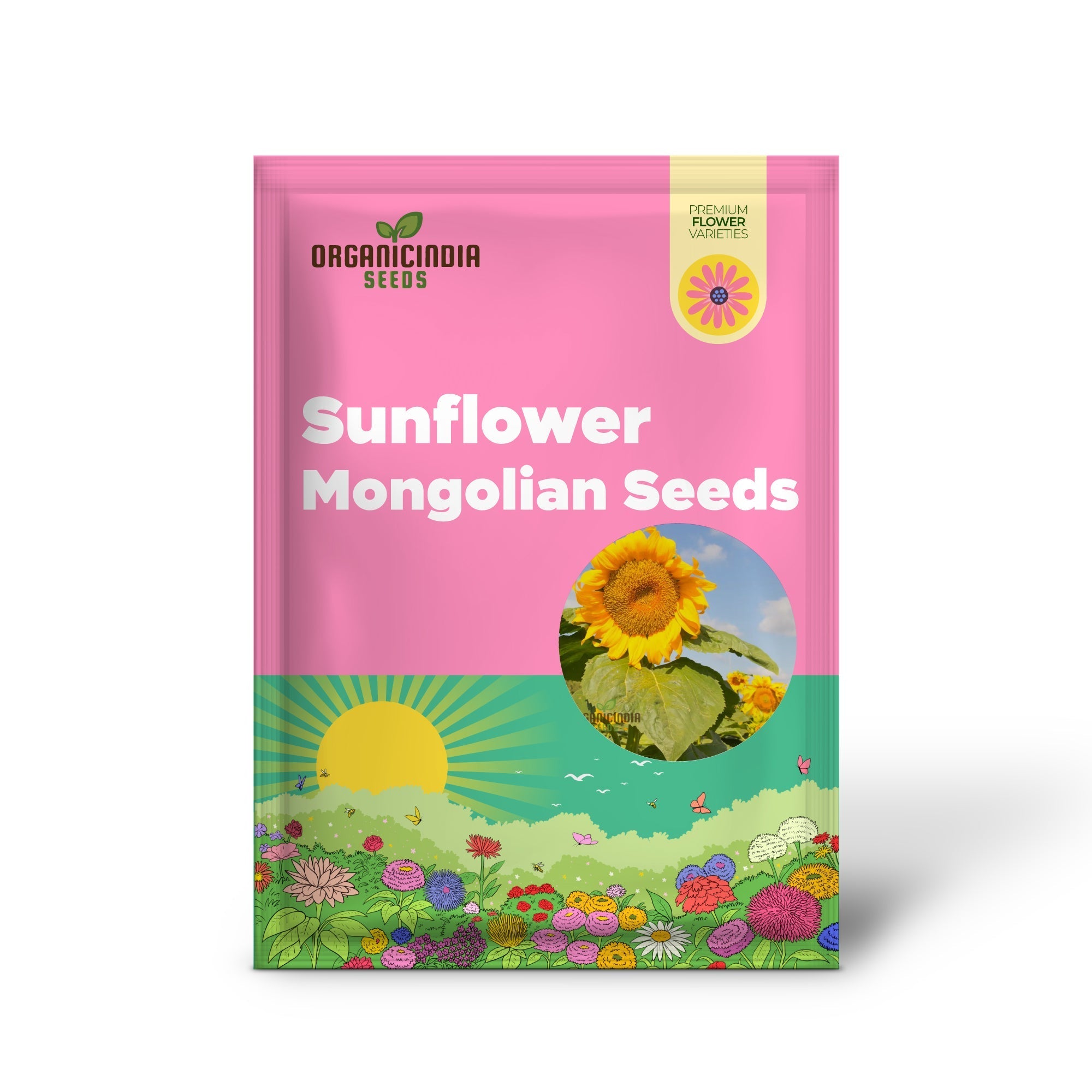 Sunflower Mongolian Giant Seeds - Grow Enormous and Majestic Mongolian Giant Sunflowers in Your Garden organicindiaseeds
