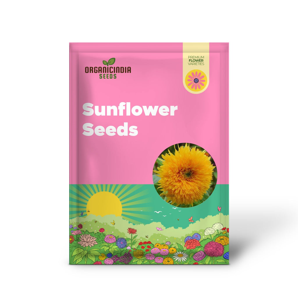 Sunflower Seeds - Orange Sun, Vibrant Orange Sunflowers for a Stunning Garden Display organicindiaseeds