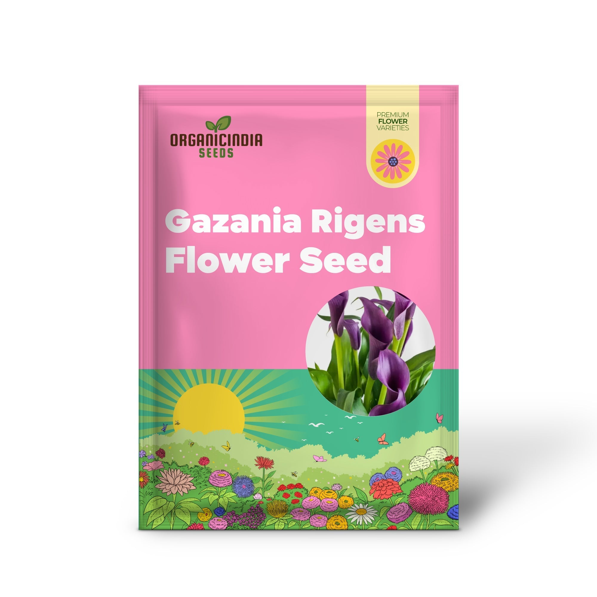 Gazania Rigens Flower Seeds - African Sunflower - 100 pcs organicindiaseeds