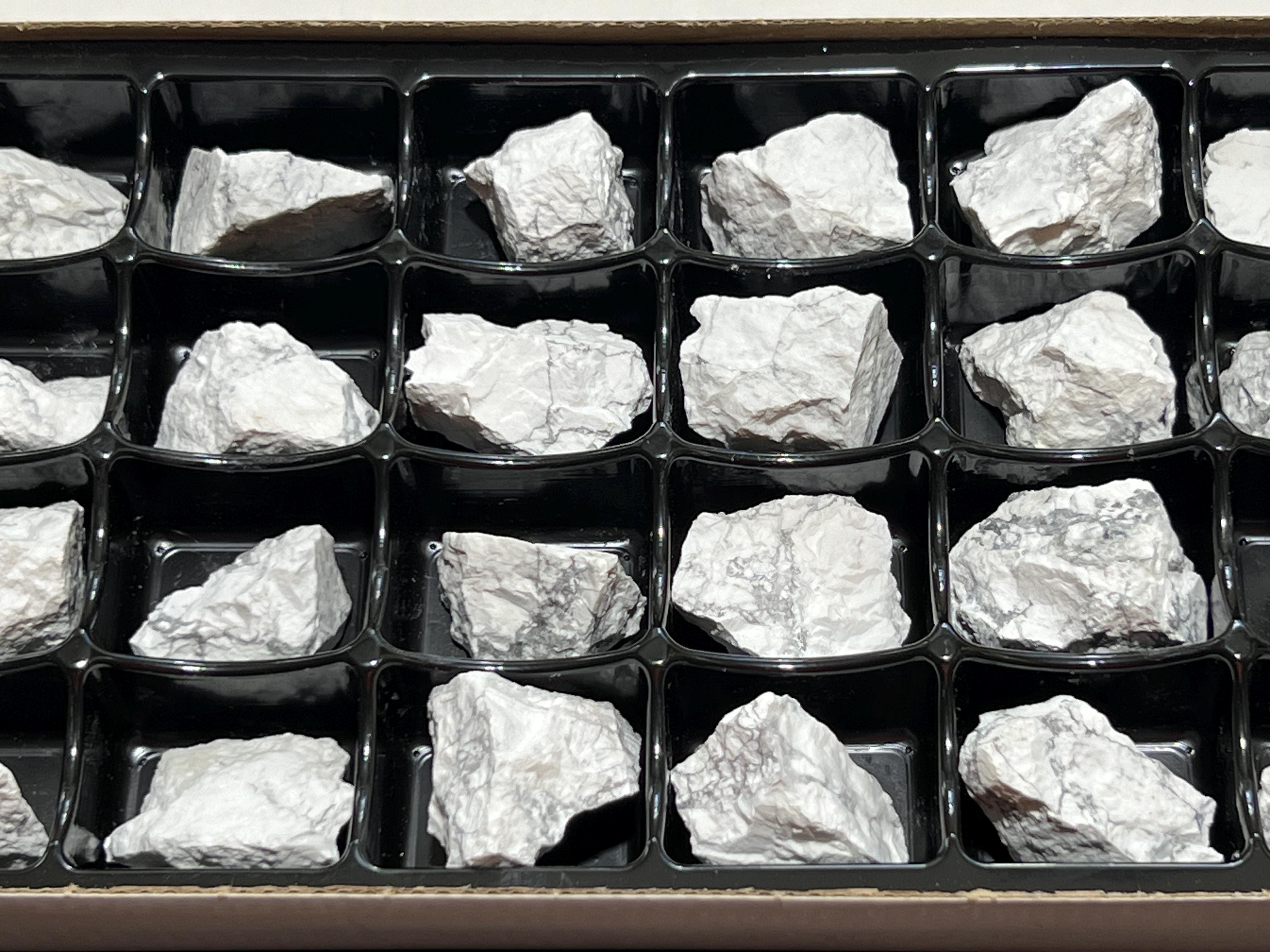 White Howlite Rough Raw Stones (24 Pcs) Boxed Flat Amazing Crystals