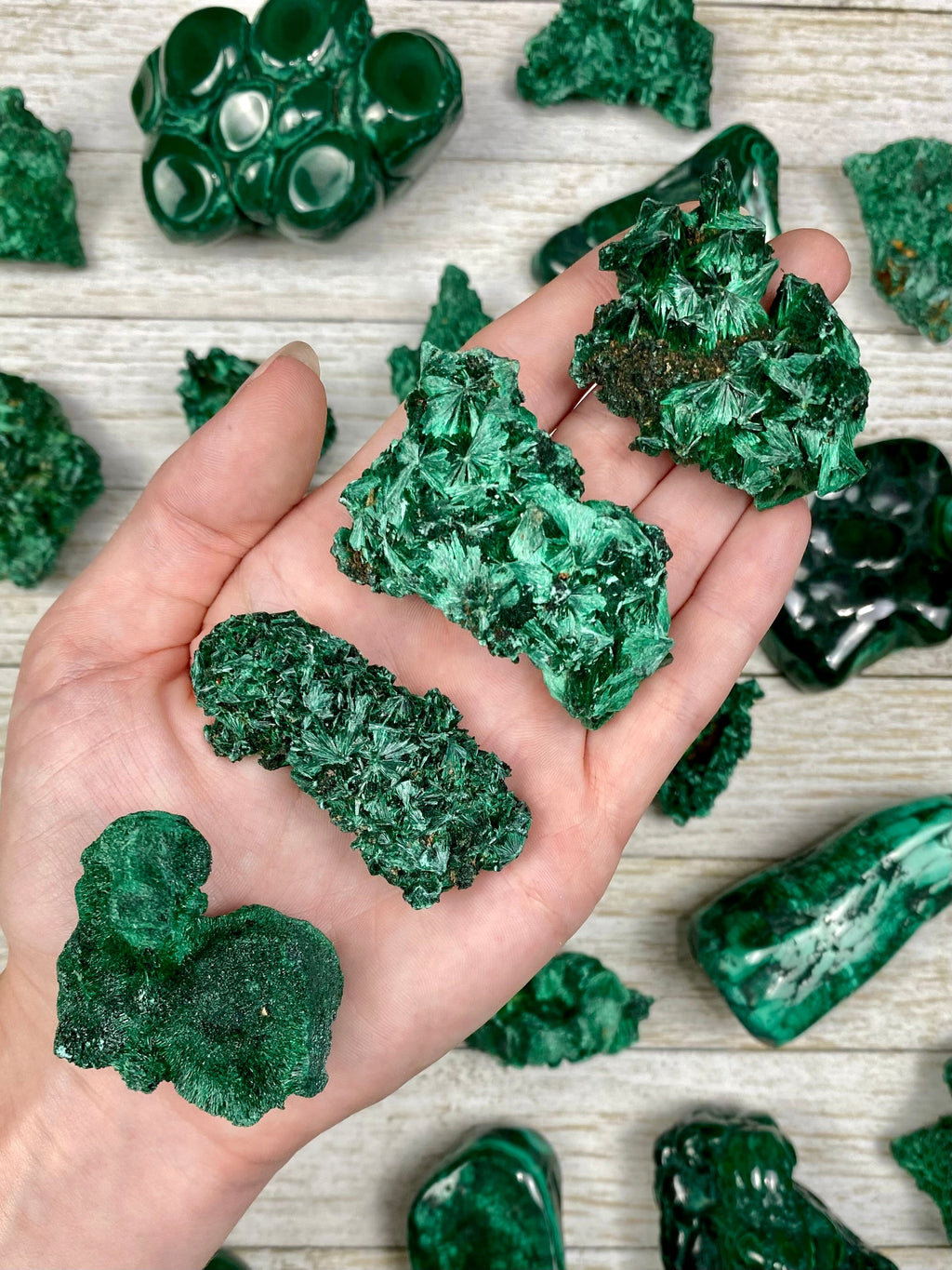 Raw Fibrous Malachite Cluster | Green Copper Based Crystal Curious Muse Crystals