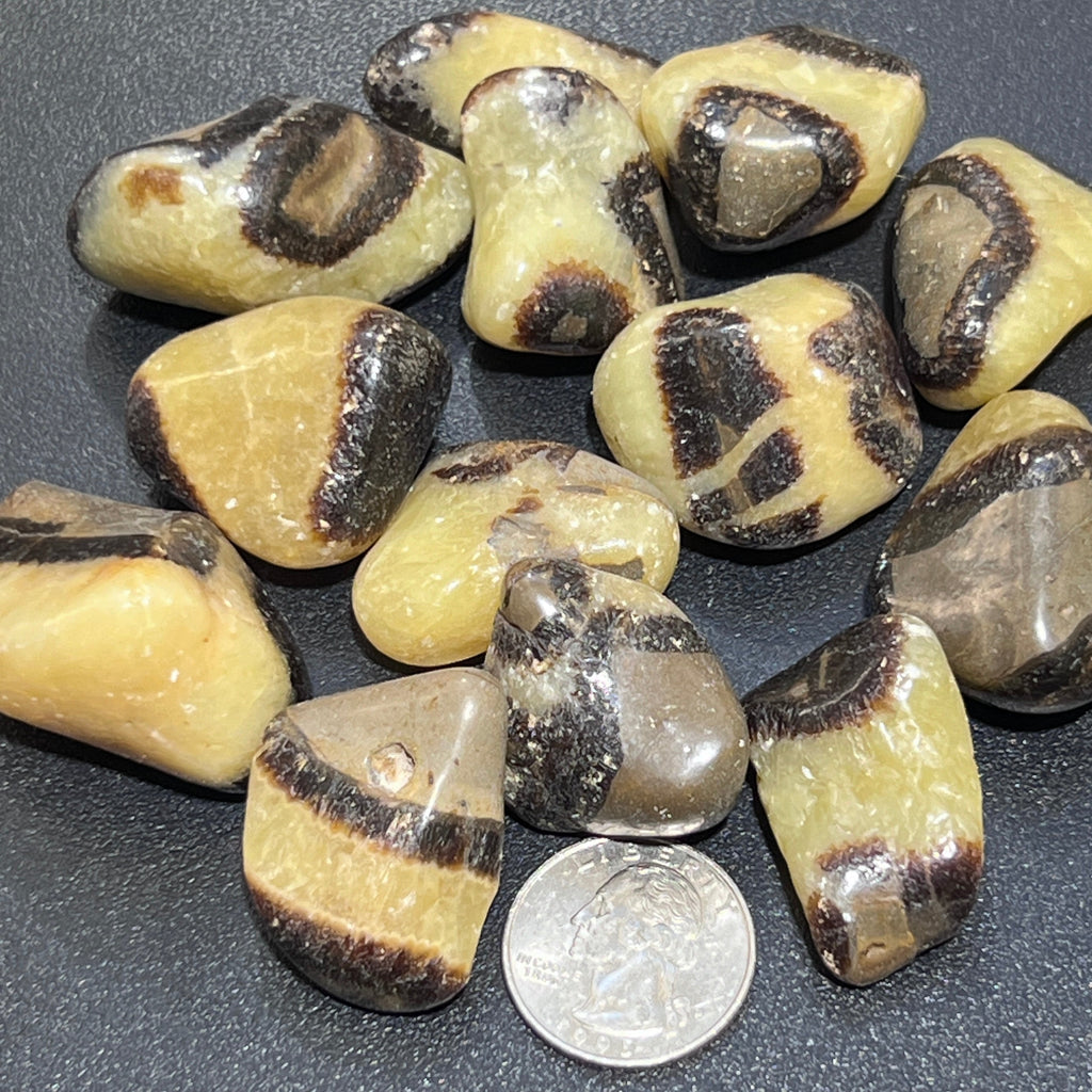 Septarian Calcite Nodule Tumbled (UV Reactive) Bulk Wholesale Lot Polished Gemstones Amazing Crystals