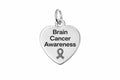 Heart Shaped Brain Cancer Charms The Awareness Company