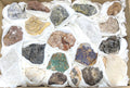 Morocco Mixed Minerals Crystal Druzy Collection Large Boxed Flat Wholesale Amazing Crystals
