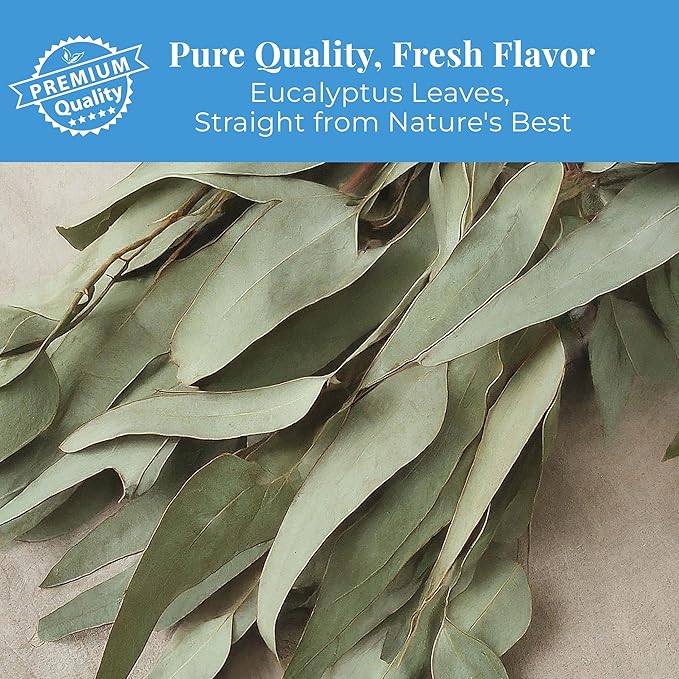 Eucalyptus Tea Bags 50 Count | Akshar Herbs Akshit